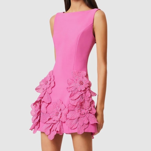 Elliatt Dresses & Skirts - Elliatt Hot Pink Mini Dress with 3D Floral Appliqués